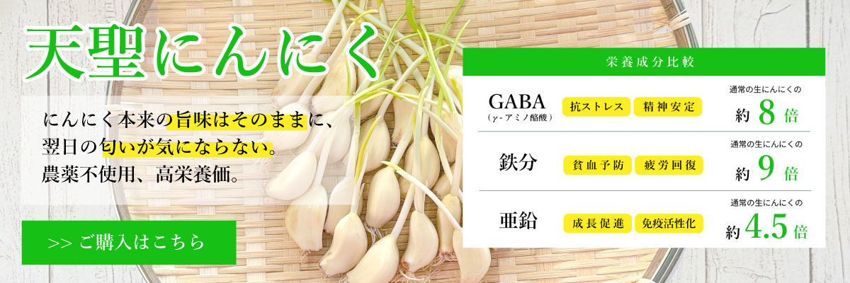 �V���ɂ�ɂ��̂��w���͂�����