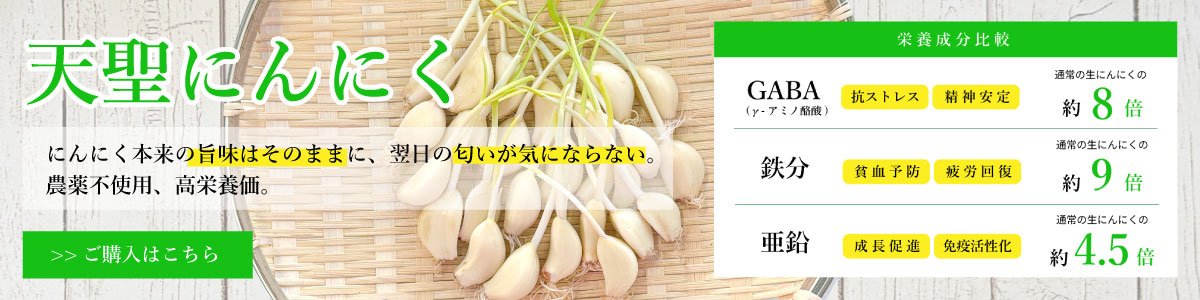 �V���ɂ�ɂ��̂��w���͂�����